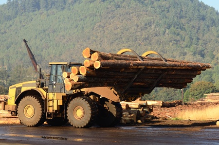 Envirnomentally Safe Hydraulic Oils works with heavy duty Forestry Equipment